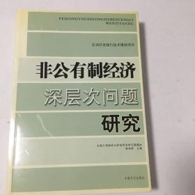 非公有制经济深层次问题研究