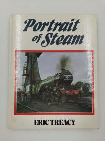 Portrait of Steam