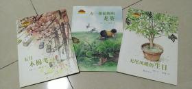 小蜗牛自然图画书系（3册）：五月木棉飞、无尾凤蝶的生日、有一棵植物叫龙葵