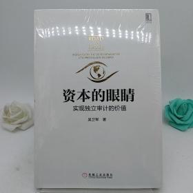 资本的眼睛：实现独立审计的价值