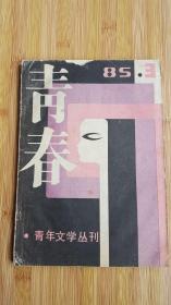 青春青年文学丛刊（1985年第3期，总第9期）