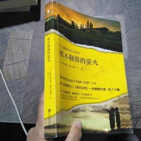 那不勒斯的萤火（被誉为欧美文坛近十年来的“灯塔”巨作，跟《追风筝的人》《阿甘正传》一样震撼灵魂、给人力量。）