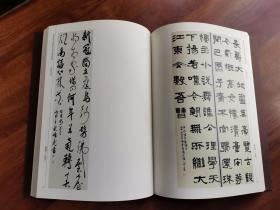 墨妙流声—重庆市首届青年书法篆刻展作品集