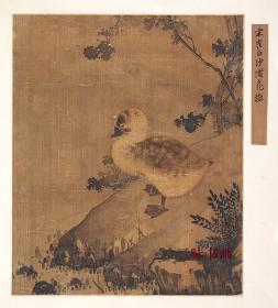 宋 崔白 沙渚凫雏图 31x34.2cm 绢本 1:1高清国画复制品