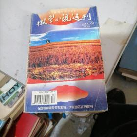 微型小说选刊2000一20
