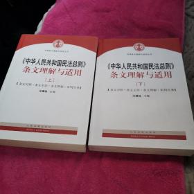 中华人民共和国民法总则 条文理解与适用（套装上下册）合售