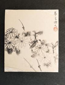 日本回流字画手绘硬卡纸菊花图 D1963