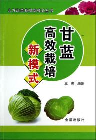 甘蓝种植技术书籍 甘蓝高效栽培新模式·北方蔬菜栽培新模式丛书