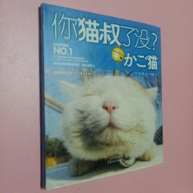 你猫叔了没 有光碟