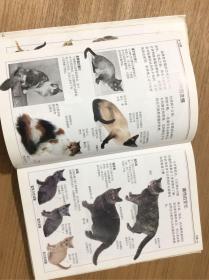 猫：全世界250多种猫的彩色图鉴