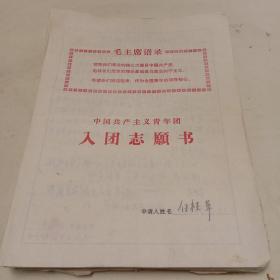 中国共产主义青年团入团志愿书（四十份）