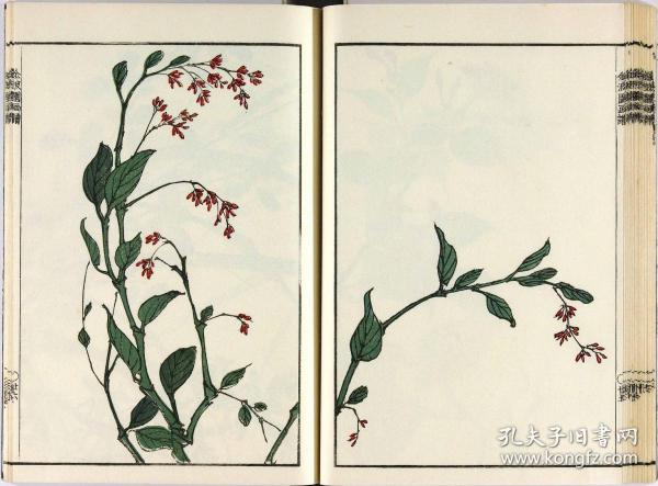【提供资料信息服务】文政3年（1820年）画谱：波园画谱，河村文凤绘，描绘的主要是花鸟虫草，本店此处销售的为该版本的手工宣纸包角线装，原大全彩、仿真高档艺术微喷。