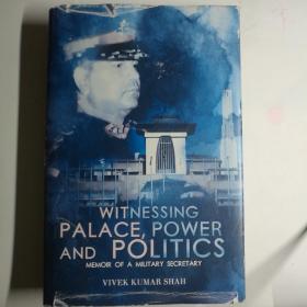 WITNESSING PALACE power and politics【 英文原版 精装品好 】