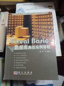 Visual Basic数据库高级实例导航/基于UML建模的数据库实例导航