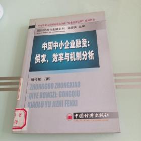 中国中小企业融资：供求、效率与机制分析