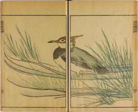 【提供资料信息服务】文政3年（1820年）画谱：波园画谱，河村文凤绘，描绘的主要是花鸟虫草，本店此处销售的为该版本的手工宣纸包角线装，原大全彩、仿真高档艺术微喷。