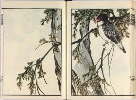 【提供资料信息服务】文政3年（1820年）画谱：波园画谱，河村文凤绘，描绘的主要是花鸟虫草，本店此处销售的为该版本的手工宣纸包角线装，原大全彩、仿真高档艺术微喷。