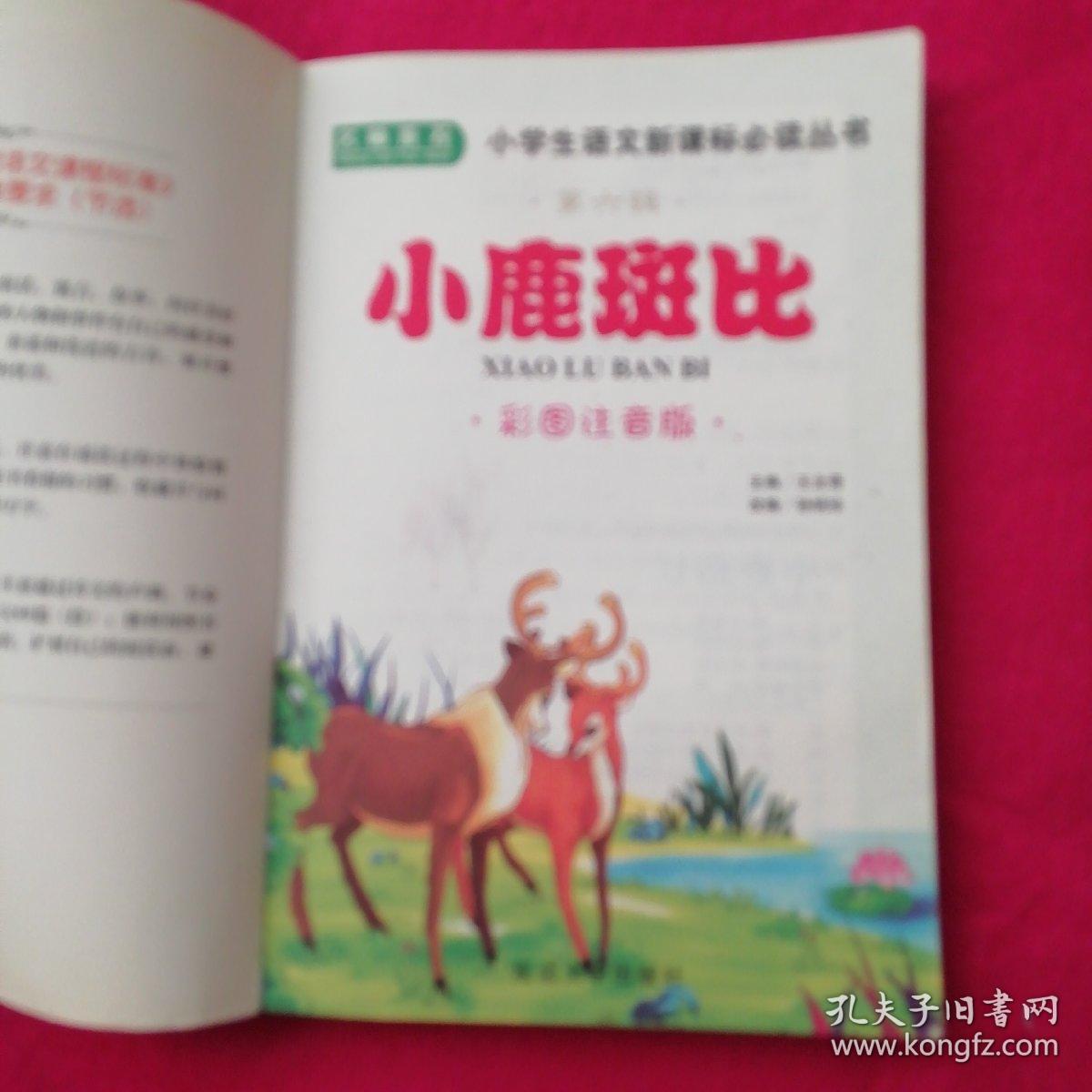 小学生语文新课标必读丛书 第六辑《小飞侠彼得·潘》