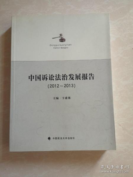 中国诉讼法治发展报告（2012～2013）