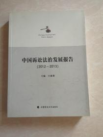 中国诉讼法治发展报告（2012～2013）