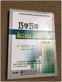 巧学巧用Access2003与VBA（中文版）