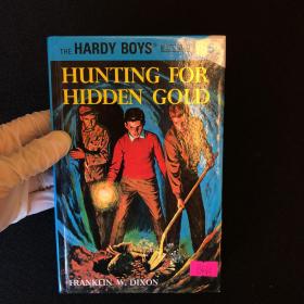 Hunting for Hidden Gold
