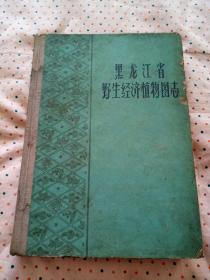 黑龙江省野生经济植物图志【硬精装本 仅印1000册】