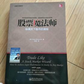 交易大师系列 股票魔法师——纵横天下股市的奥秘