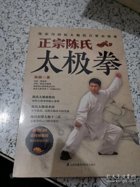 正宗陈氏太极拳