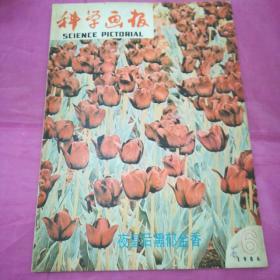 科学画报1986.6