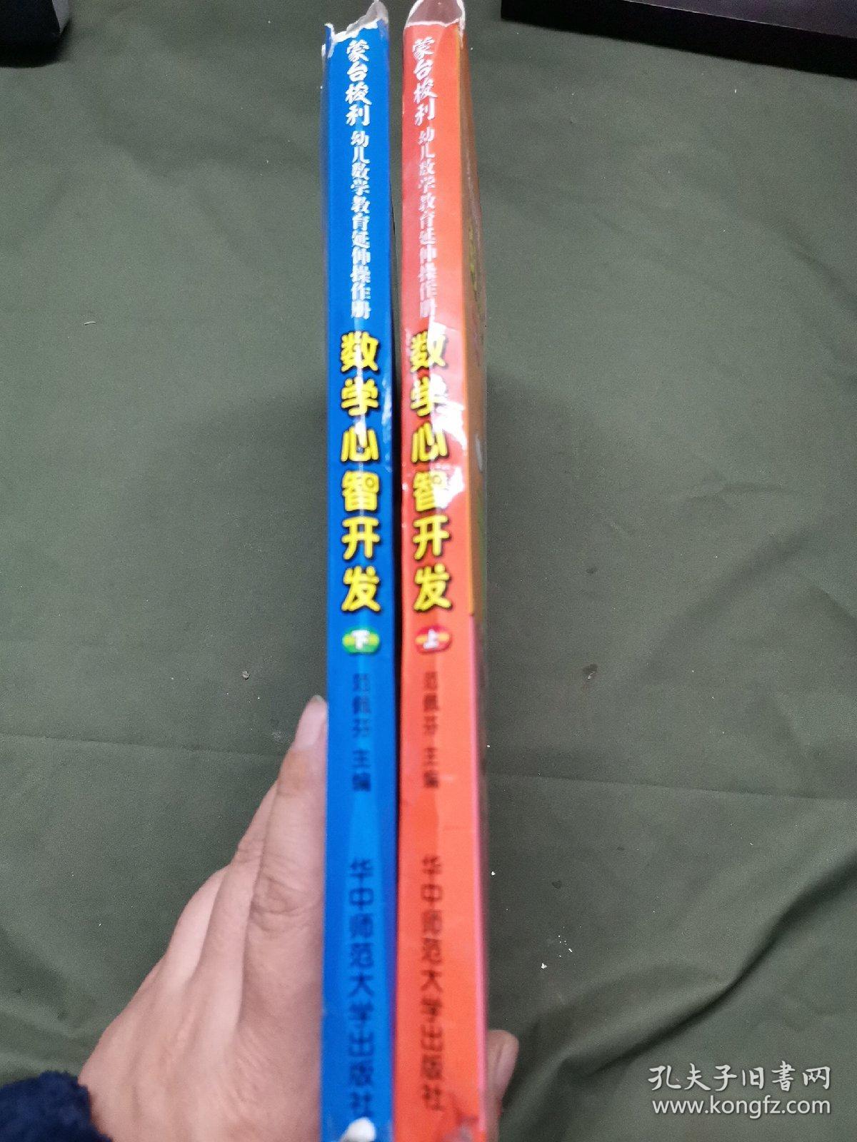 蒙台梭利 幼儿数学教育延伸操作册  数学心智开发（上下 全12册）