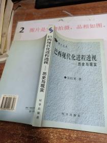 巴西現(xiàn)代化進(jìn)程透視--歷史與現(xiàn)實(shí)  32開