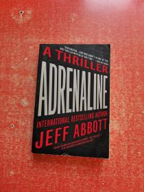 ADRENALINE JEFF ABBOTT【英文原版】具体书名见图片