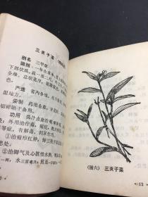 黑龙江常用中草药手册