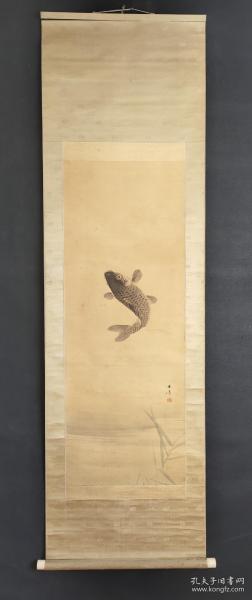 日本回流字画手绘名家玉章鱼跃图立轴 D2036