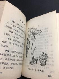 黑龙江常用中草药手册