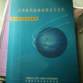 六西格玛战略的理论与实践  务实的质量改进哲学  品不错！