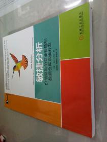 敏捷分析：价值驱动的商业智能和数据仓库系统开发