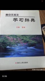 高中文言文学习辞典  13版