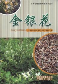 中药材金银花种植技术书籍 云南名特药材种植技术丛书：金银花