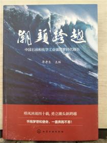 潮头跨越——中国石油和化学工业强国梦时代报告