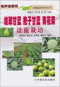 甘蓝种植技术书籍 结球甘蓝 抱子甘蓝 青花菜设施栽培