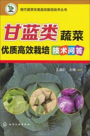 甘蓝种植技术书籍 甘蓝类蔬菜优质高效栽培技术问答