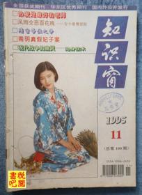 DTJ02 《知识窗》 (1995年第11期)