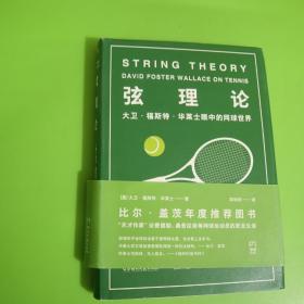 弦理论：大卫·福斯特·华莱士眼中的网球世界