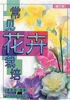 常见花卉栽培