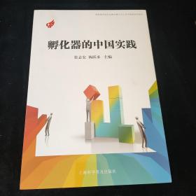 孵化器的中国实践