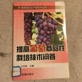 提高葡萄商品性栽培技术问答