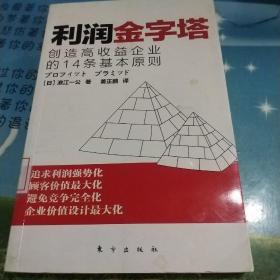 利润金字塔：创造高收益企业的14条基本原则