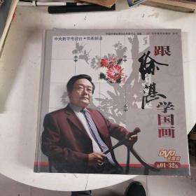 跟徐湛学国画（DVD8碟装）